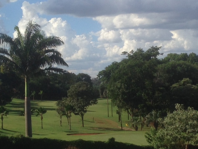 Terreno Ip Rosa #3