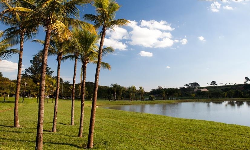 Terreno, 1500 m² - Foto 1