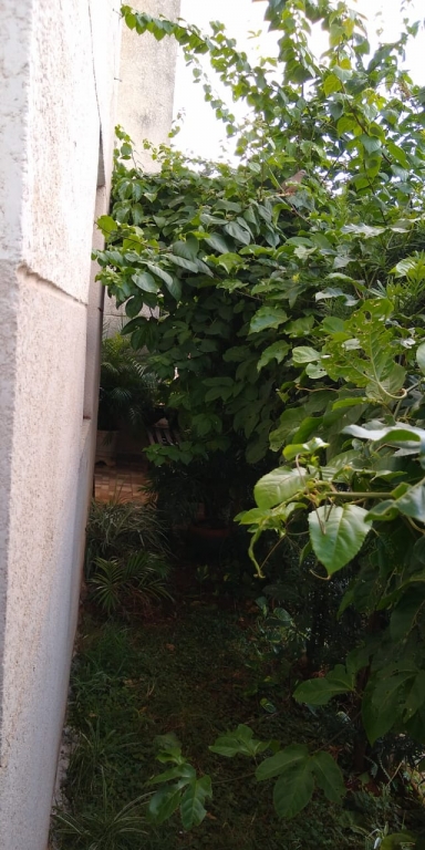 Apartamento, 3 quartos, 58 m² - Foto 16