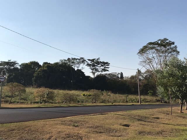 Terreno, 500 m² - Foto 6