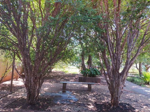 Chácara, 3 quartos, 1500 m² - Foto 10