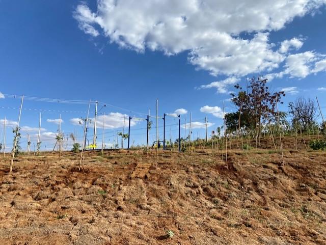 Terreno Belvedere Residencial #13