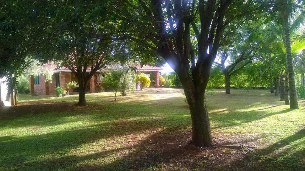 Chácara à venda com 5 quartos, 1200m² - Foto 7