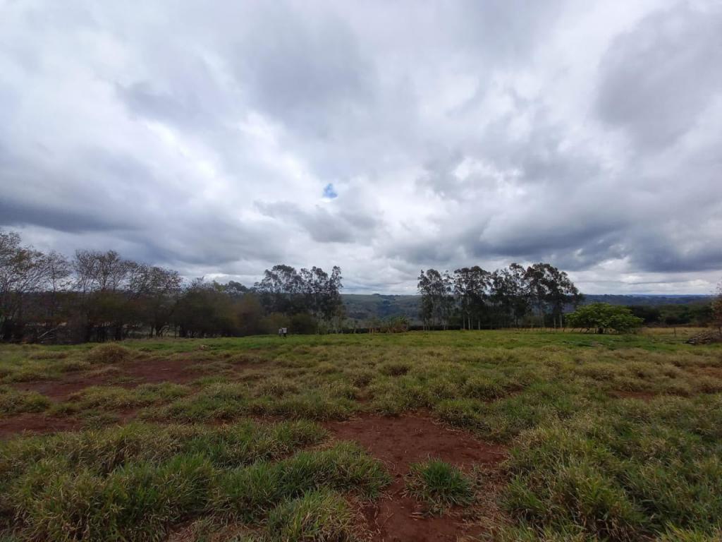 Chácara à venda com 5 quartos, 1200m² - Foto 14