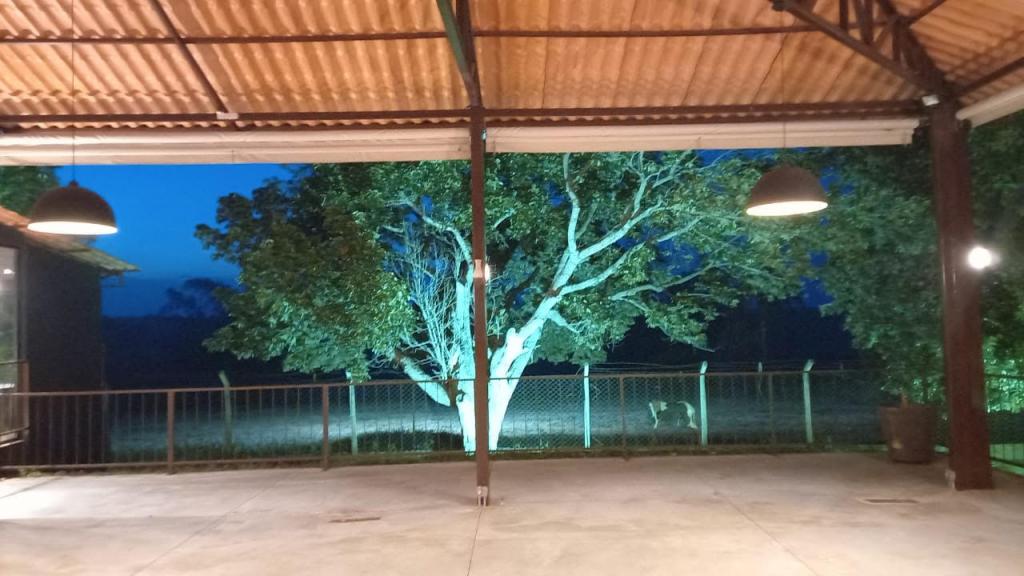 Chácara à venda com 5 quartos, 1200m² - Foto 21