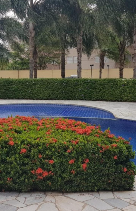 Apartamento, 3 quartos, 65 m² - Foto 29