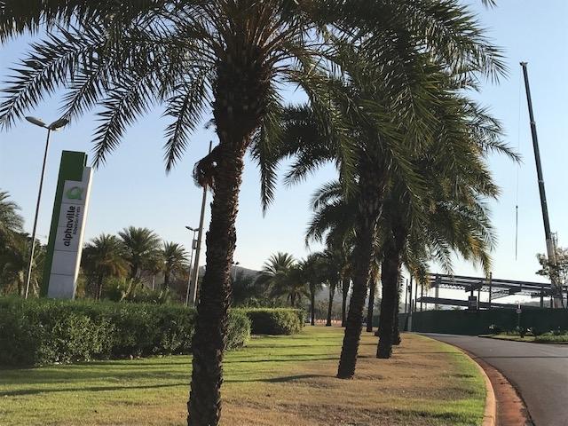 Terreno, 536 m² - Foto 5