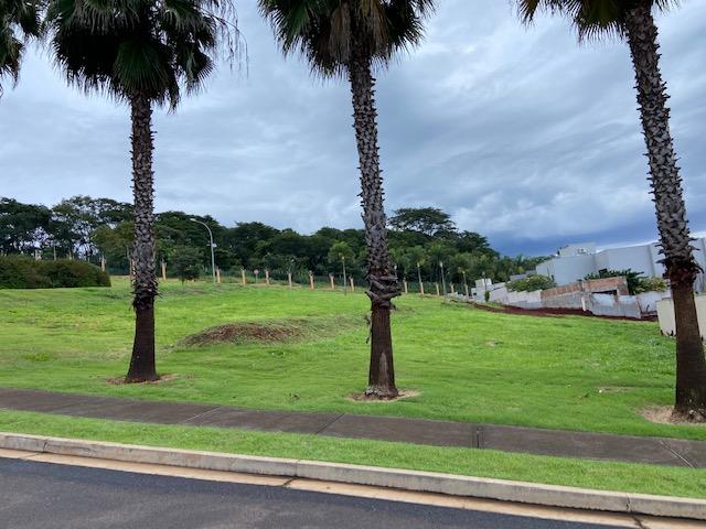 Terreno, 1230 m² - Foto 13