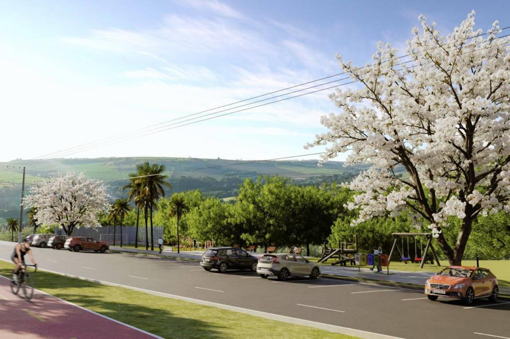 Terreno Belvedere Laranjeiras #5