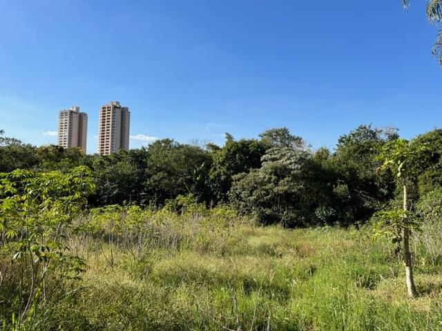 Terreno, 2 hectares - Foto 5