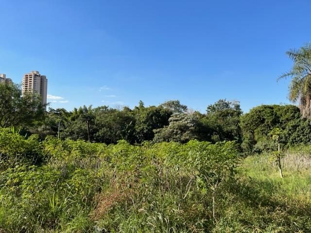 Terreno, 2 hectares - Foto 8