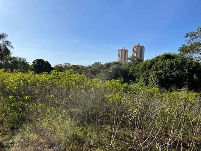 Terreno, 2 hectares - Foto 11