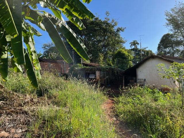 Terreno, 2 hectares - Foto 13