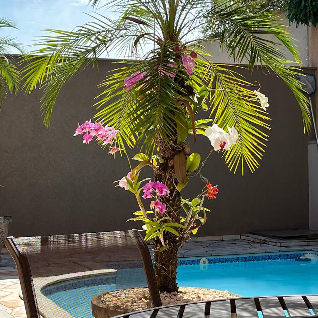 Casa, 4 quartos, 265 m² - Foto 8