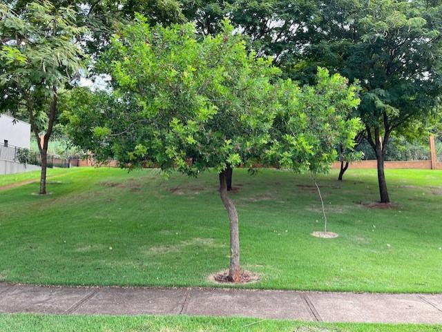 Terreno, 551 m² - Foto 8