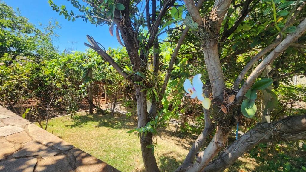 Chácara, 3 quartos, 700 m² - Foto 5