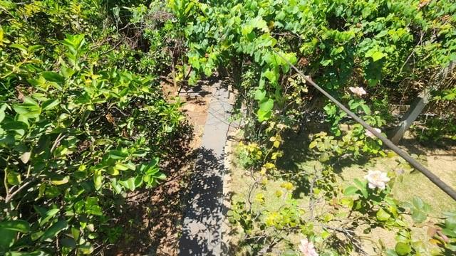 Chácara, 3 quartos, 700 m² - Foto 10