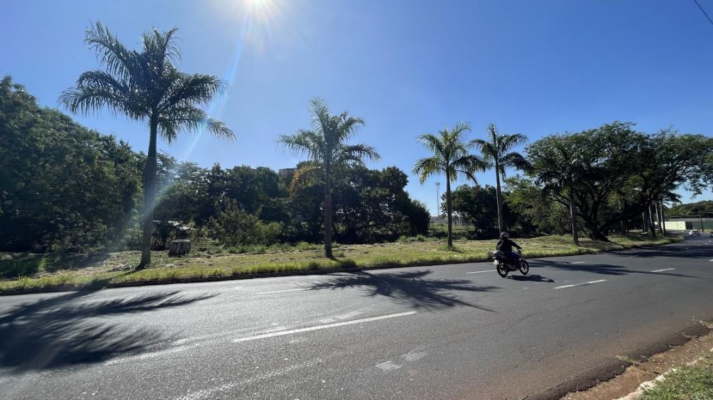 Terreno, 2904 m² - Foto 6