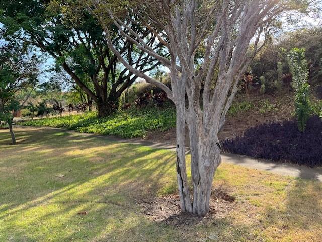 Terreno, 488 m² - Foto 11