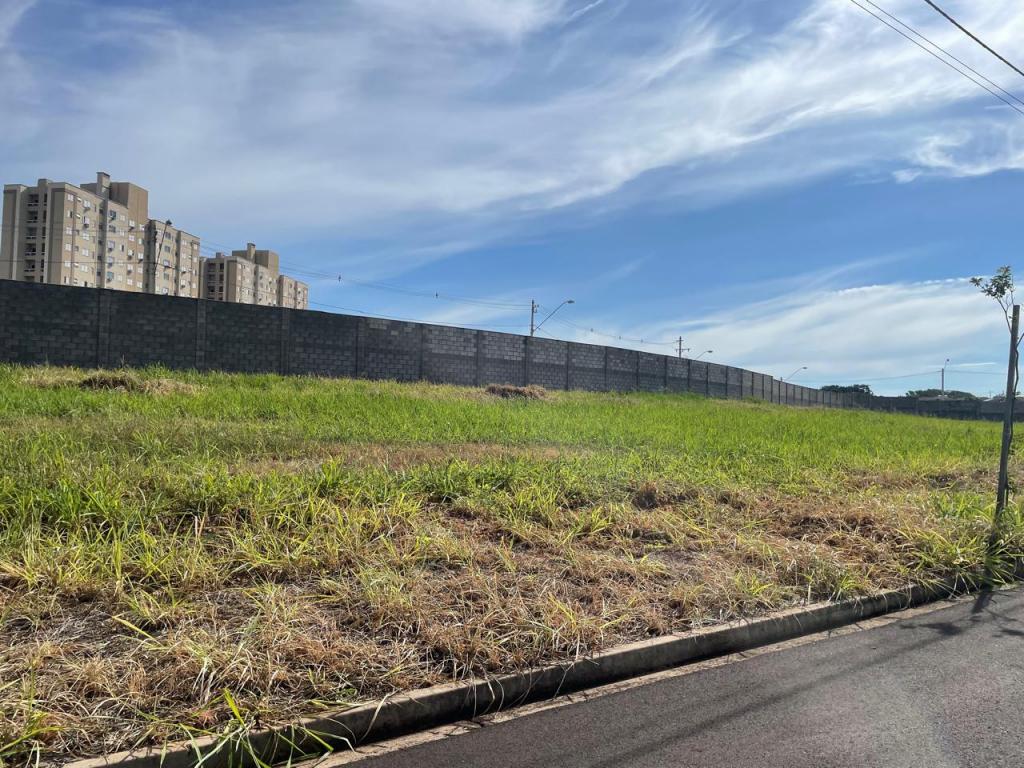 Terreno, 250 m² - Foto 1