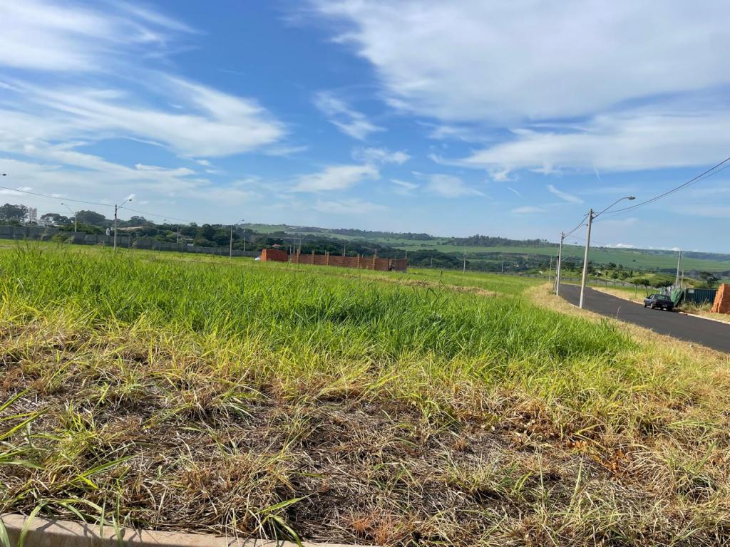 Terreno, 250 m² - Foto 7