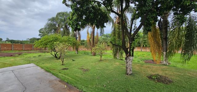 Chácara à venda com 3 quartos, 5000m² - Foto 14