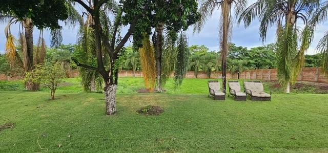 Chácara à venda com 3 quartos, 5000m² - Foto 18