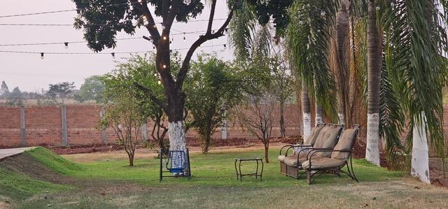 Chácara à venda com 3 quartos, 5000m² - Foto 3