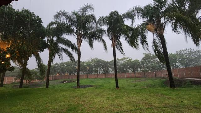 Chácara à venda com 3 quartos, 5000m² - Foto 7