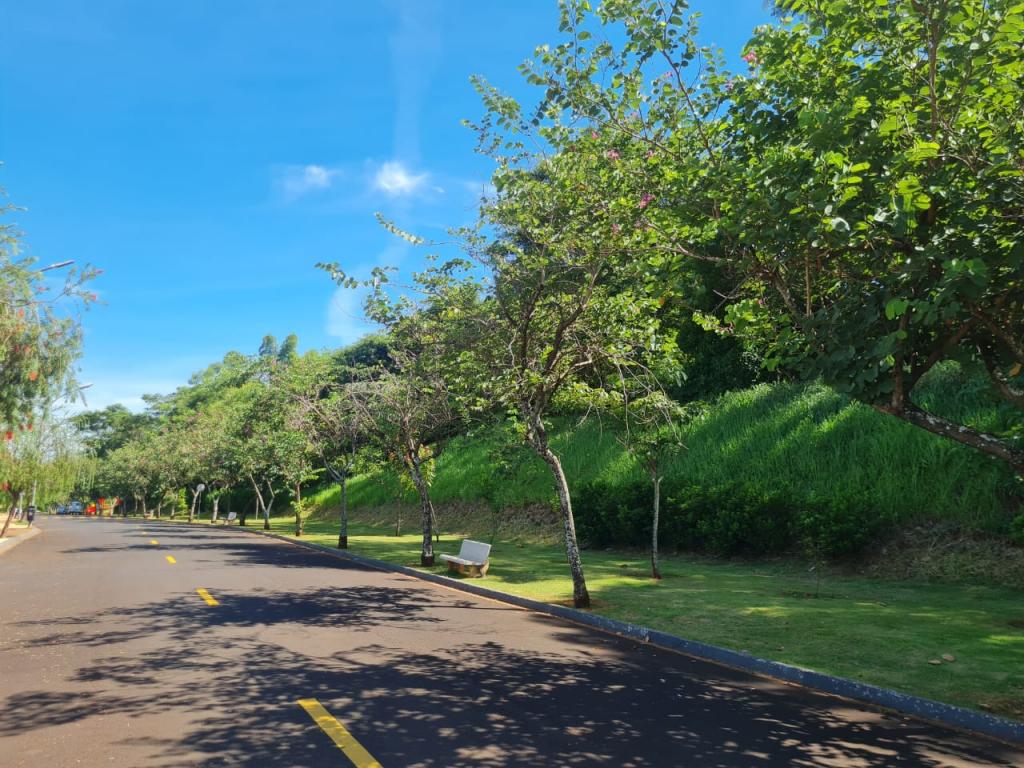 Terreno, 677 m² - Foto 6