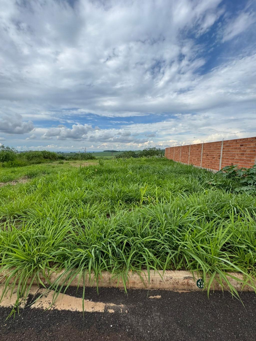 Terreno à venda, 250m² - Foto 5