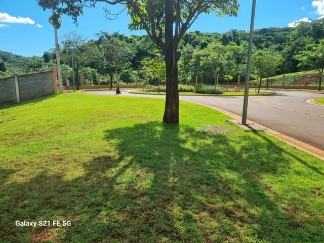 Terreno, 730 m² - Foto 13