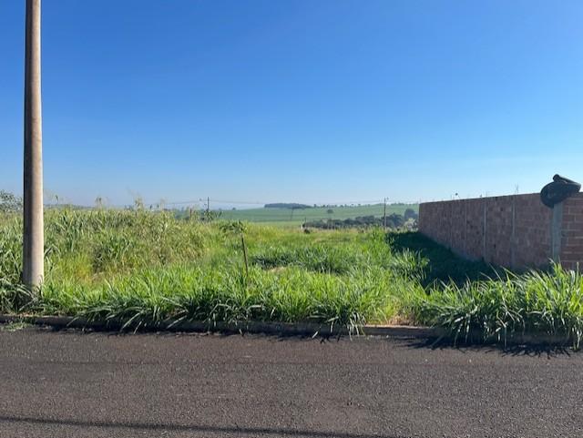 Terreno à venda, 250m² - Foto 10