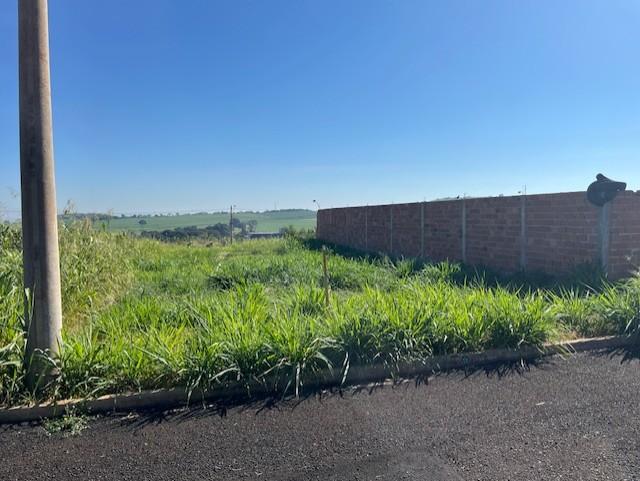 Terreno à venda, 250m² - Foto 1