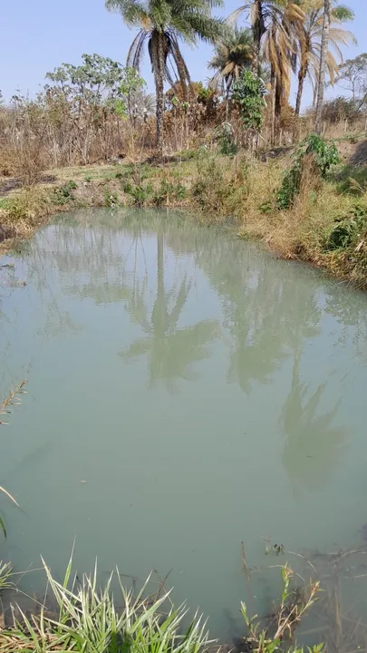 Chácara, 2000 m² - Foto 8