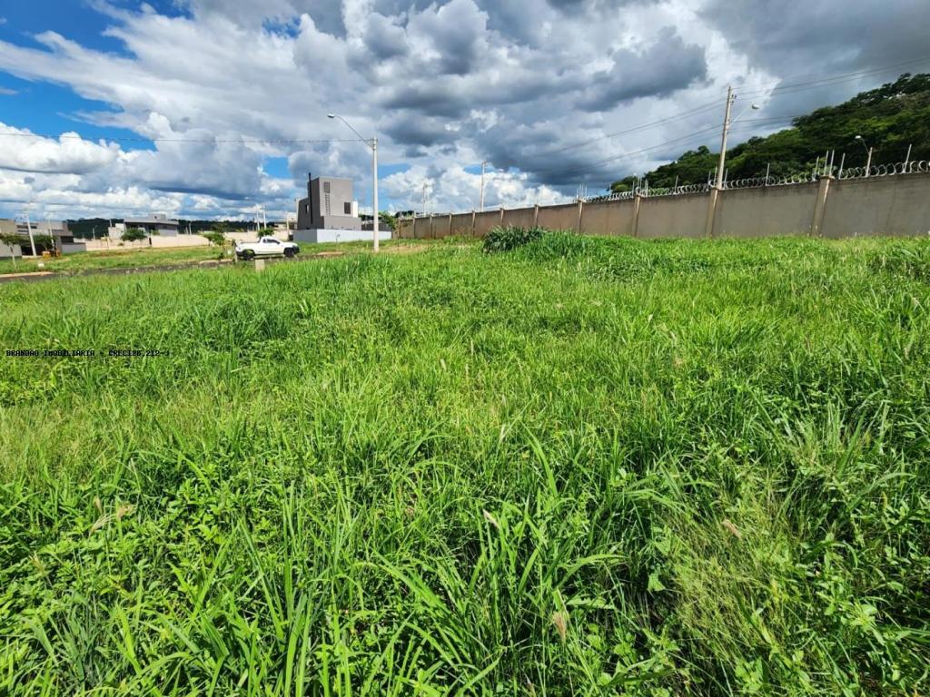 Terreno, 250 m² - Foto 3