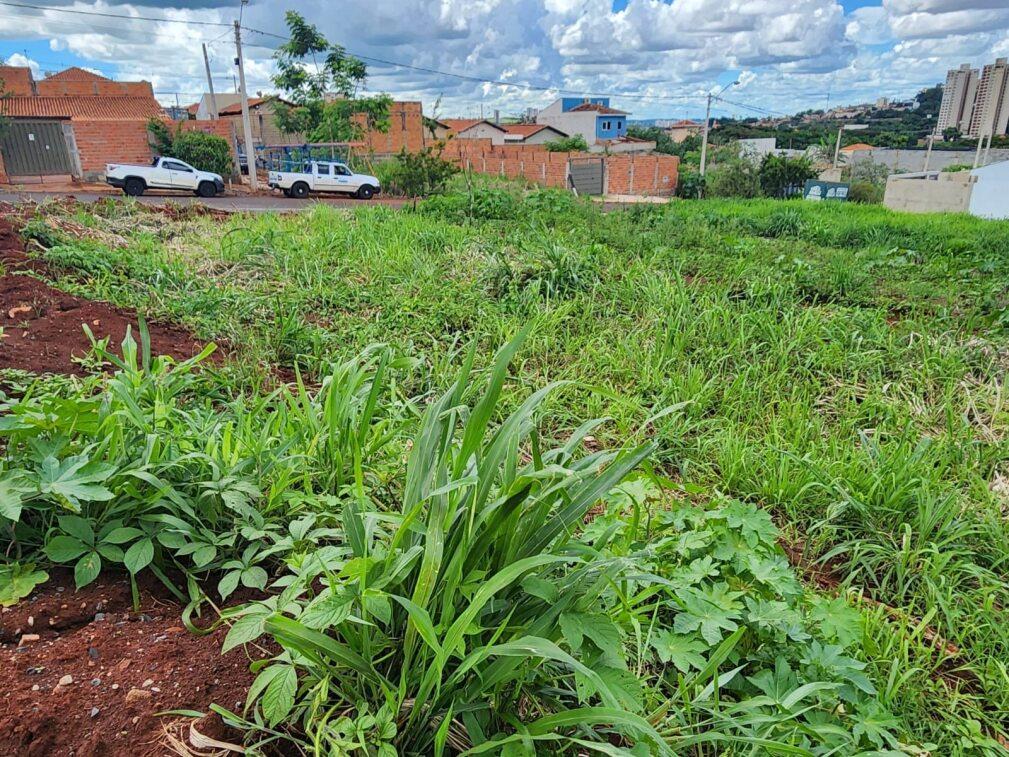 Terreno, 250 m² - Foto 3