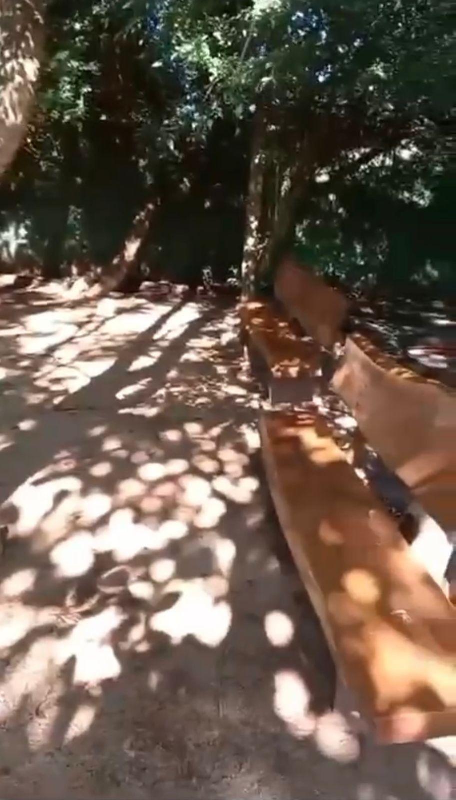 Chácara, 4 quartos, 5300 m² - Foto 8