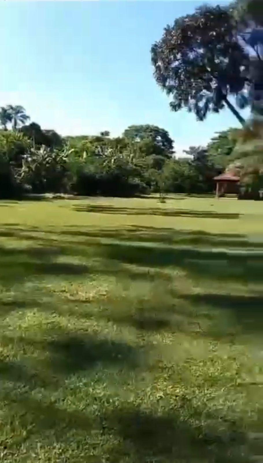 Chácara, 4 quartos, 5300 m² - Foto 10