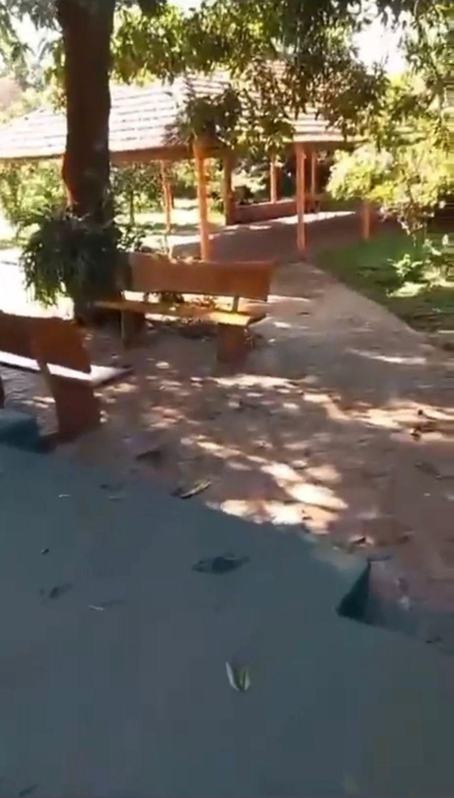 Chácara, 4 quartos, 5300 m² - Foto 12