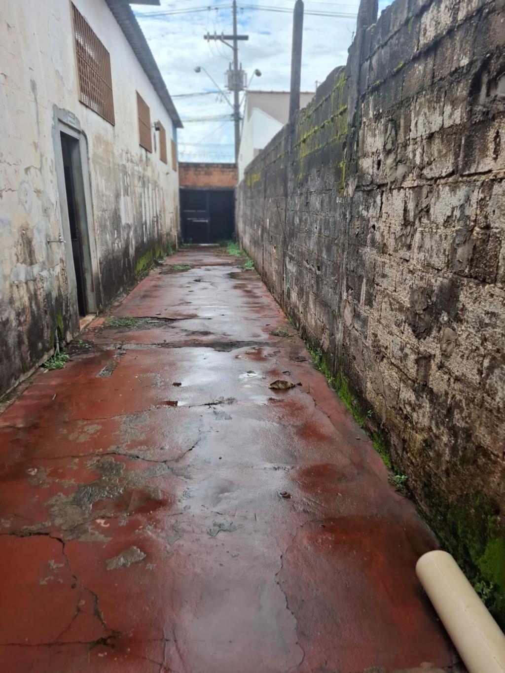 Depósito-Galpão-Armazém à venda, 232m² - Foto 3