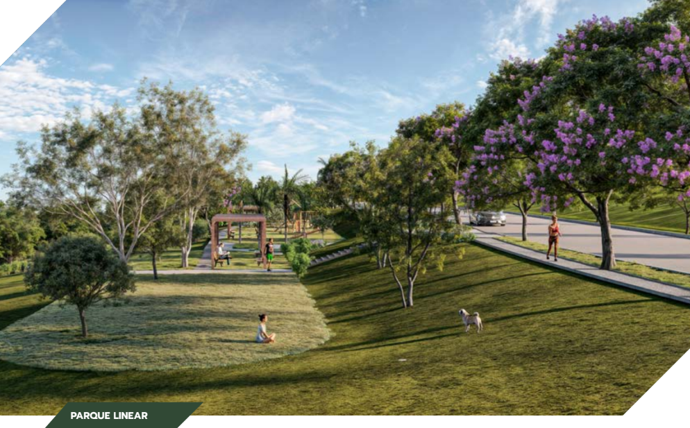 Terreno à venda, 300m² - Foto 10