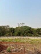 Terreno, 443 m² - Foto 5