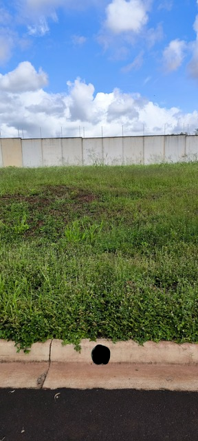 Otimo terreno plano no Vivendas da Mata #1