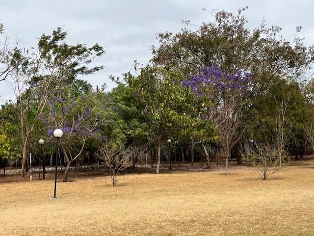 Terreno à venda, 285m² - Foto 11