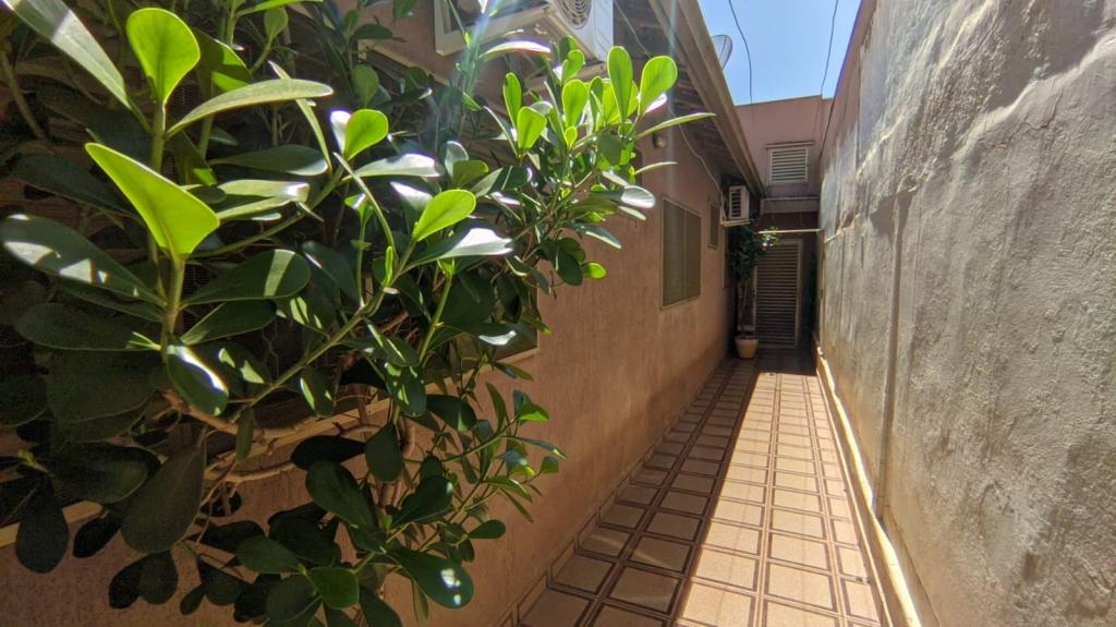 Casa, 4 quartos, 204 m² - Foto 14