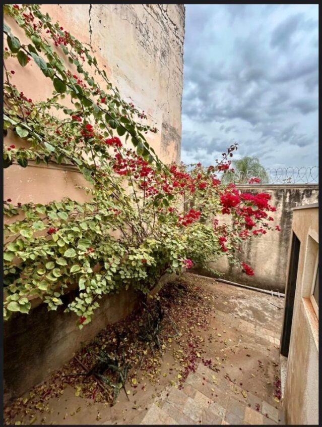 Casa, 3 quartos, 125 m² - Foto 7