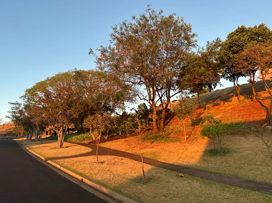 Terreno, 488 m² - Foto 13