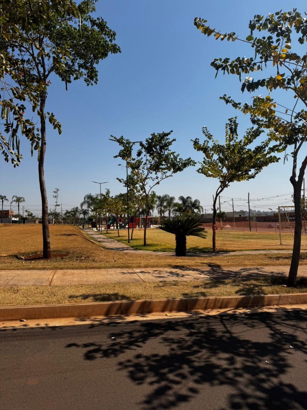 Terreno, 250 m² - Foto 5