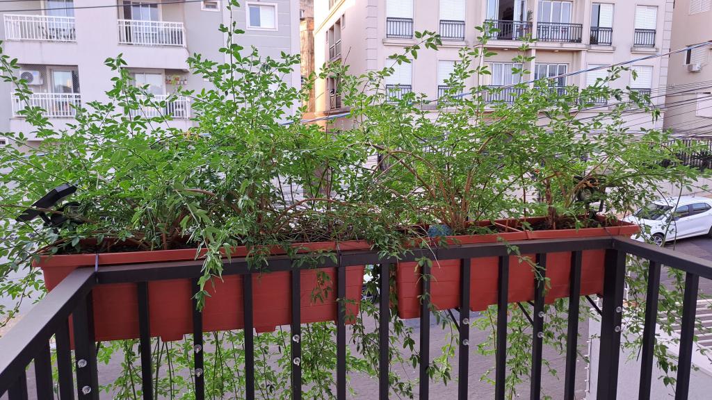 Apartamento, 2 quartos, 64 m² - Foto 24